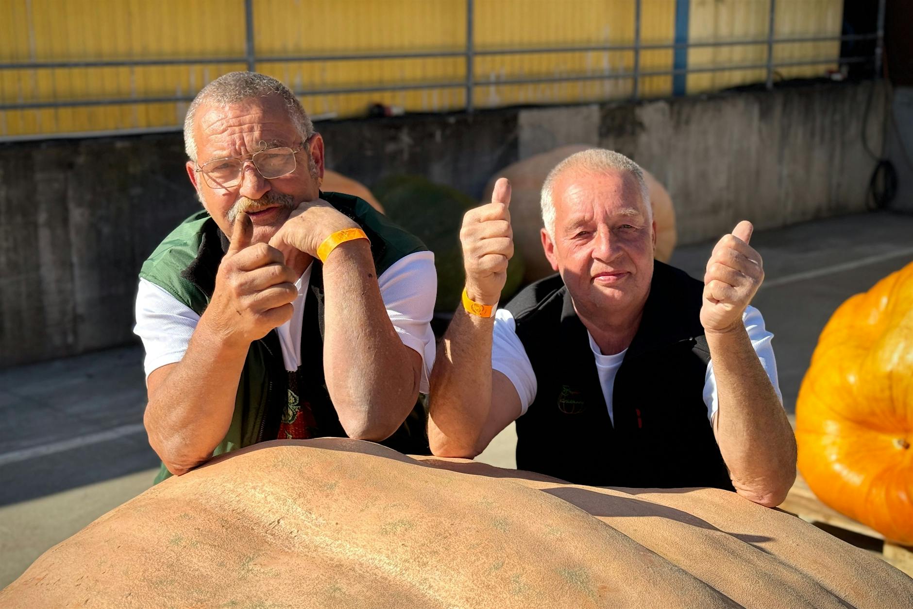Michael und Paul stolz: Unser Kürbis ist ein richtig dickes Ding!
