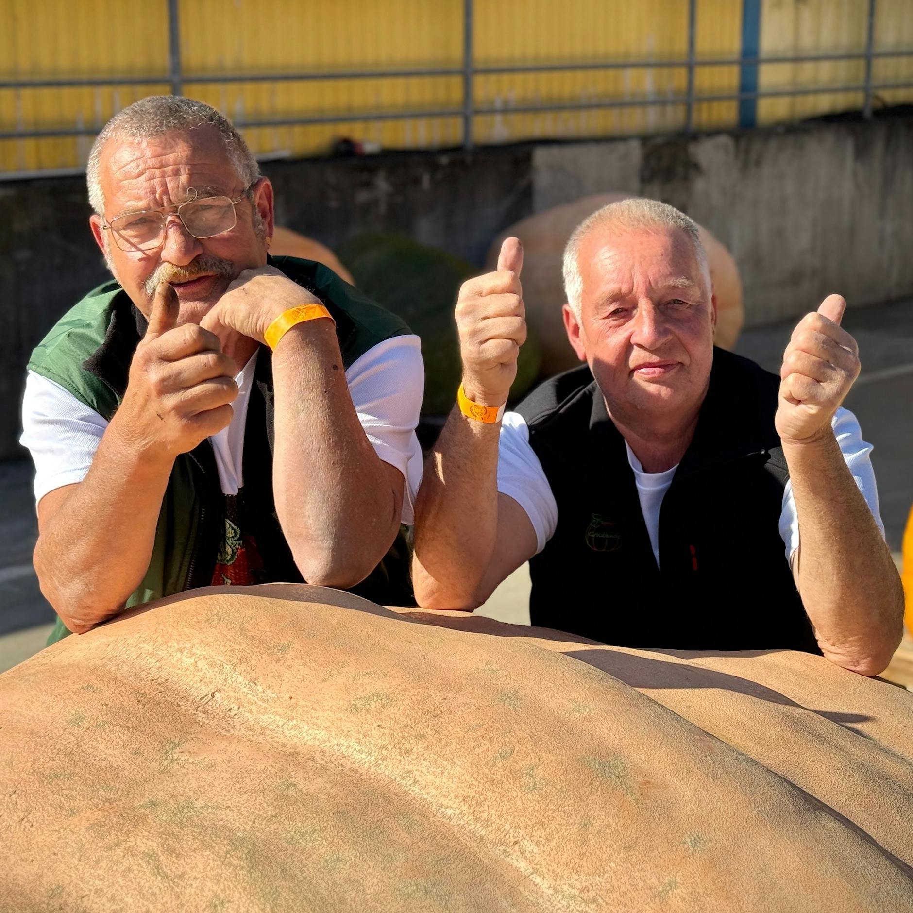 Michael und Paul stolz: Unser Kürbis ist ein richtig dickes Ding!
