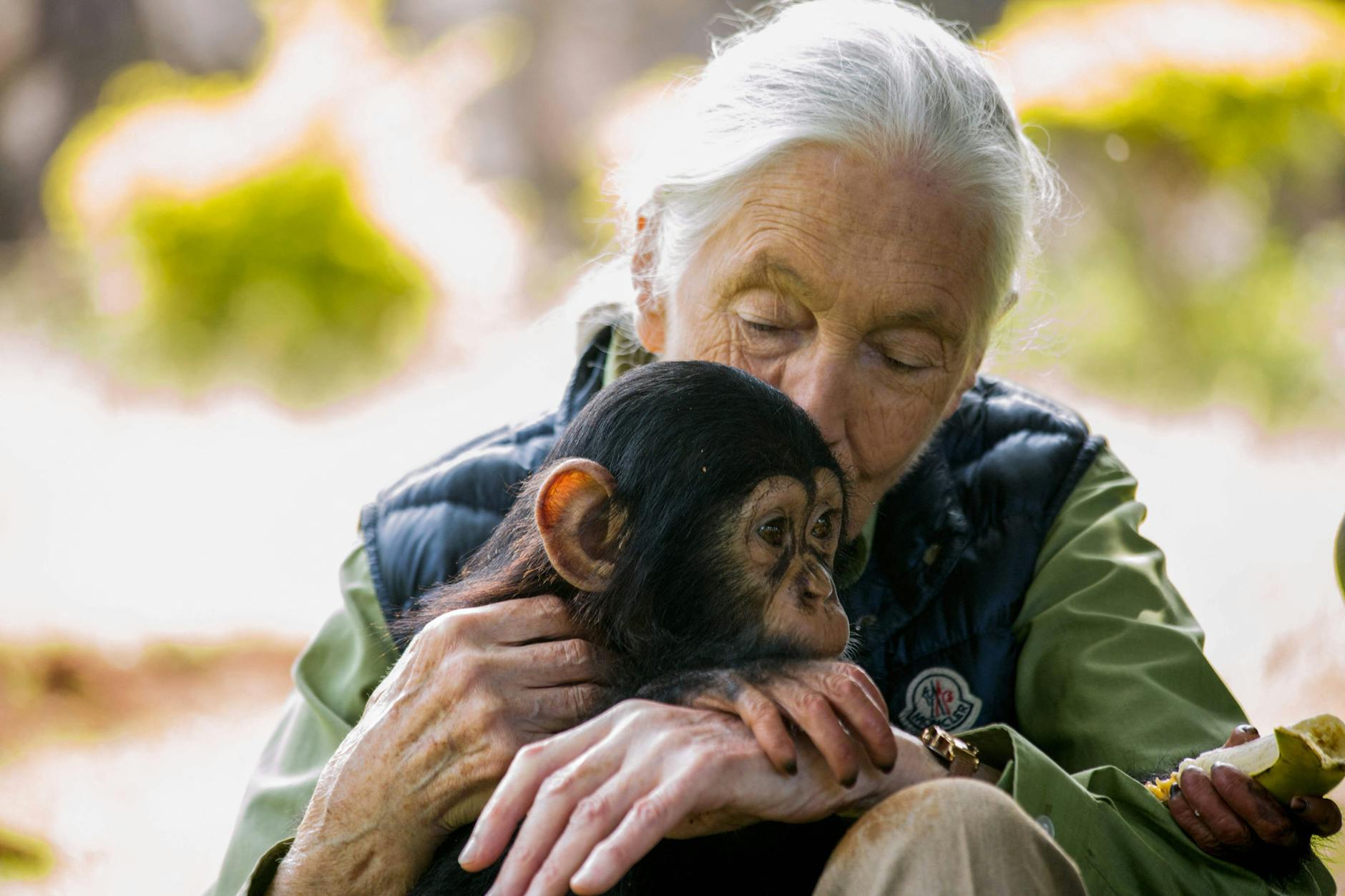 Jane Goodall kam den Affen so nah wie kaum eine andere Forscherin.