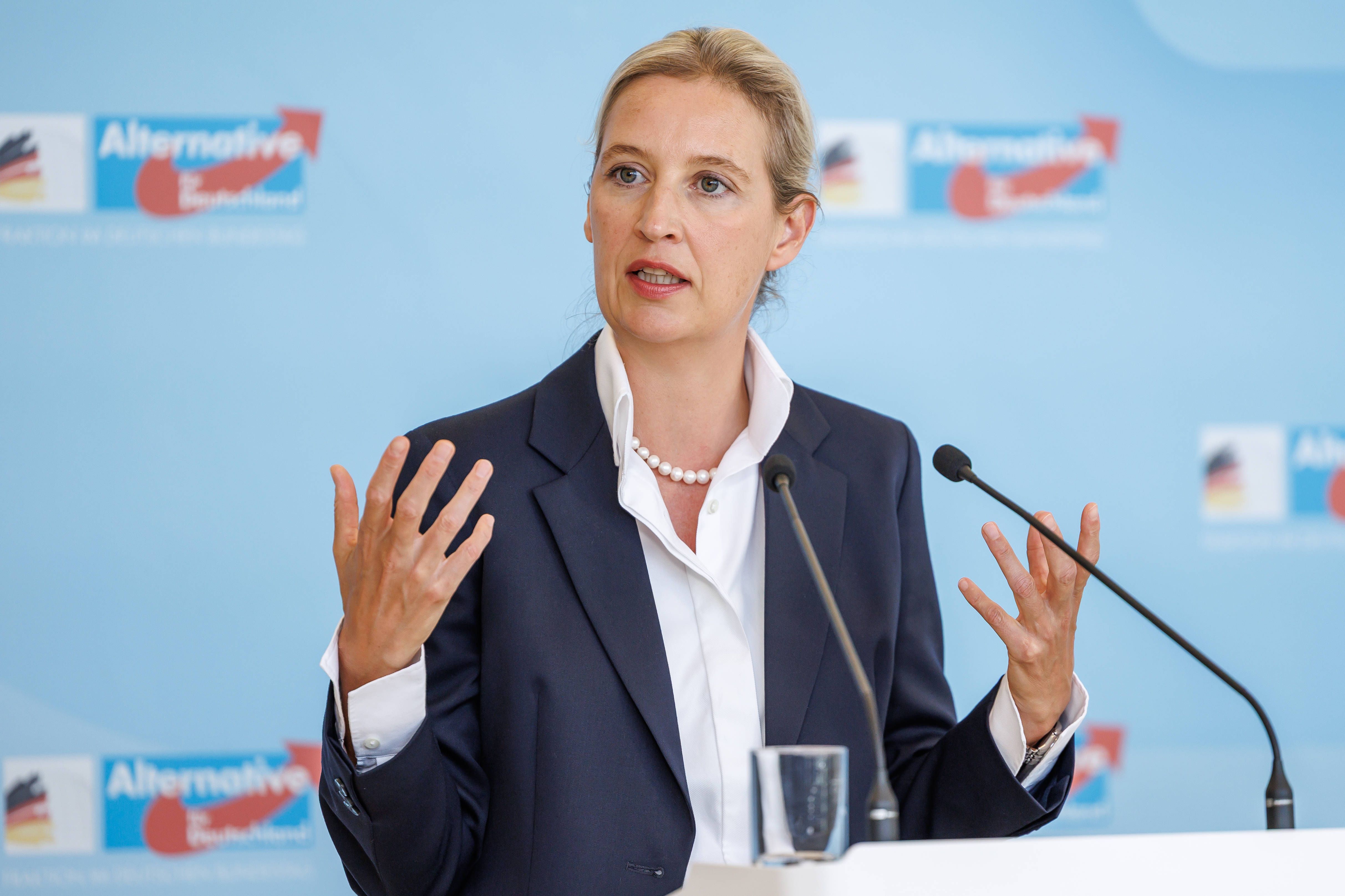 Kopf an Kopf rennen in Wahlumfragen – Forschungsinstitute uneinig: Das sind die Gründe