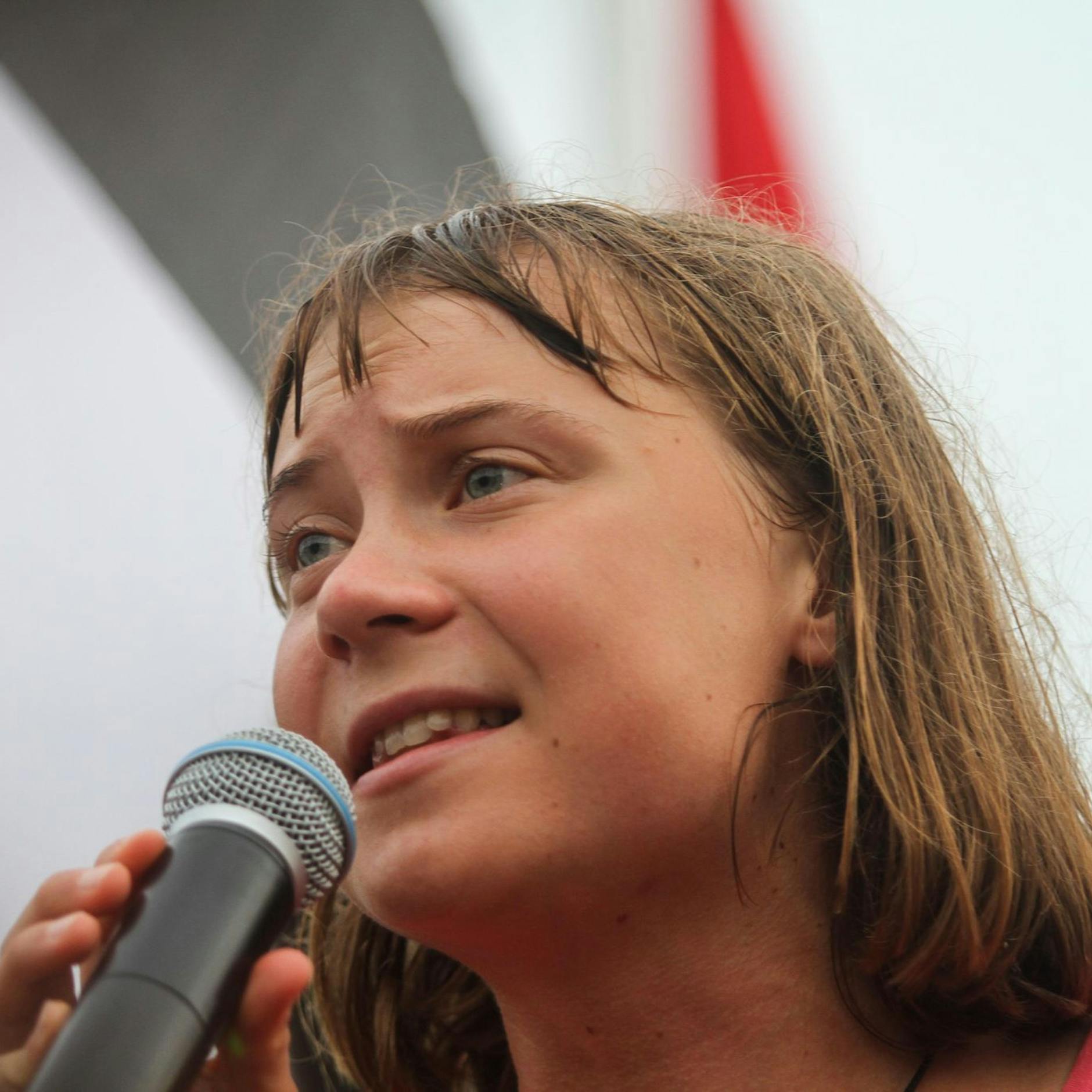 Image - „Entführt und festgehalten“: Greta Thunberg veröffentlicht Statement zu Festnahme durch Israel