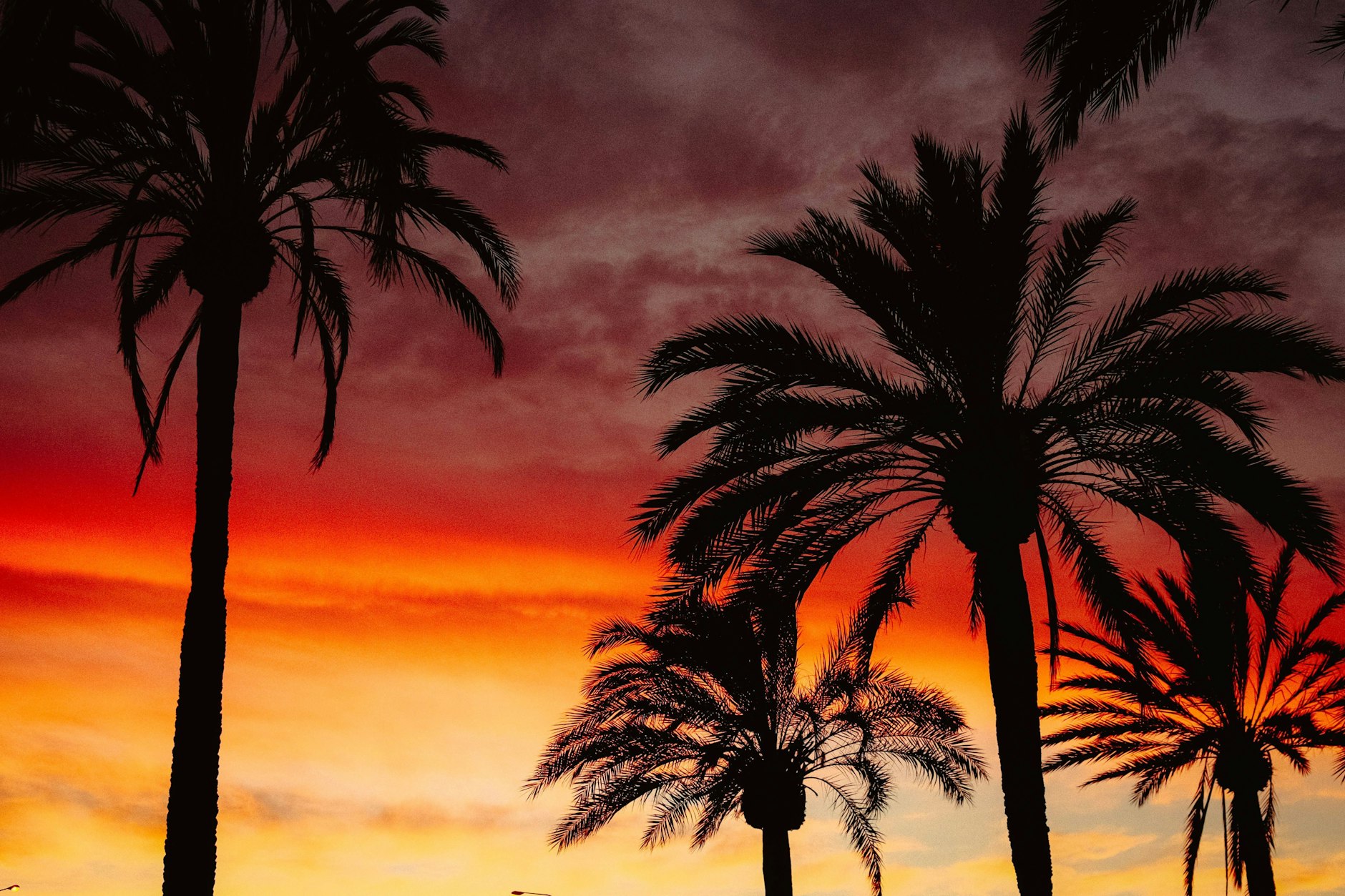 Rauschendes Meer statt prasselndem Regen: Mallorca lohnt sich nicht nur im Sommer.