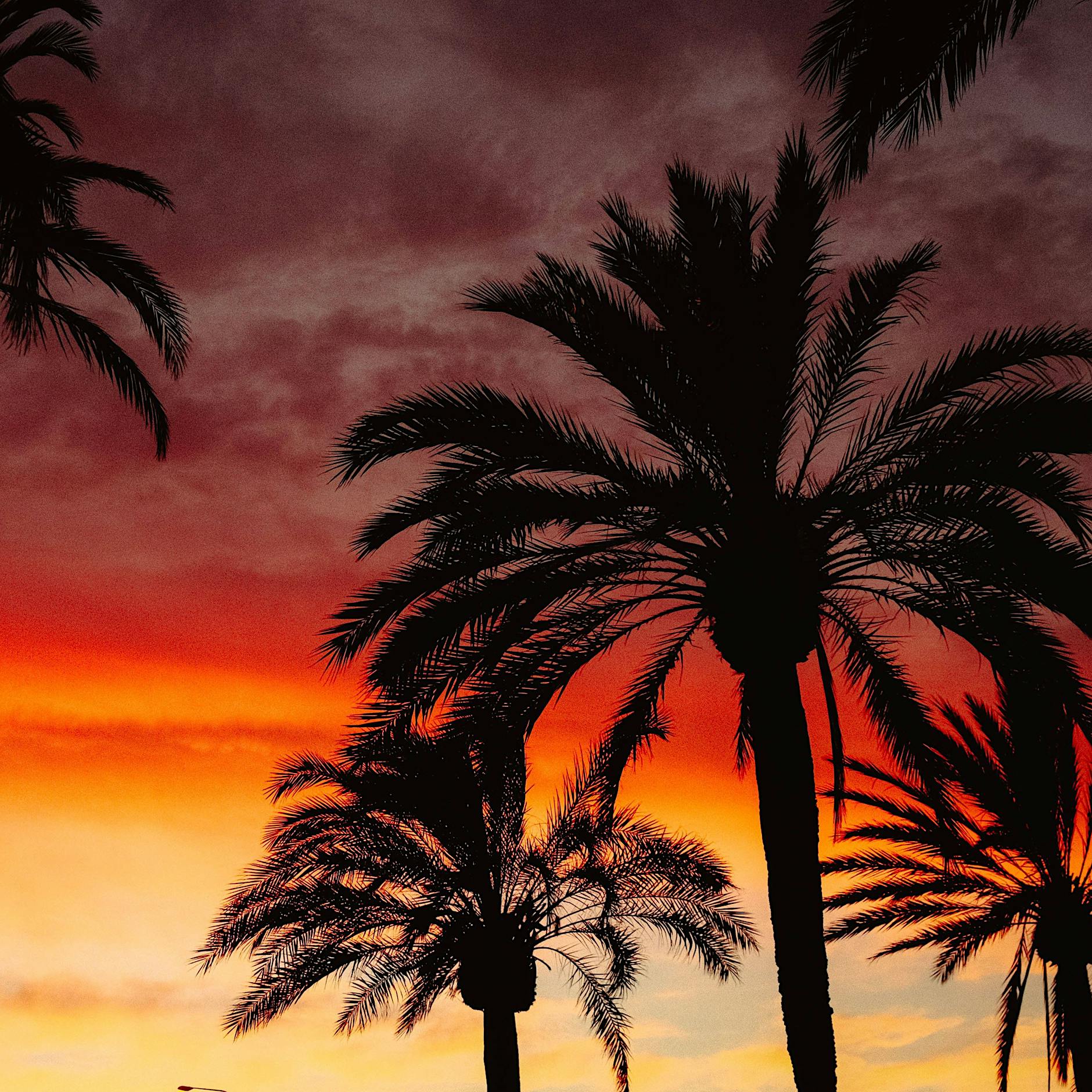 Ab in den Süden: Wenn der Berliner Sommer geht, fliege ich gleich mit!