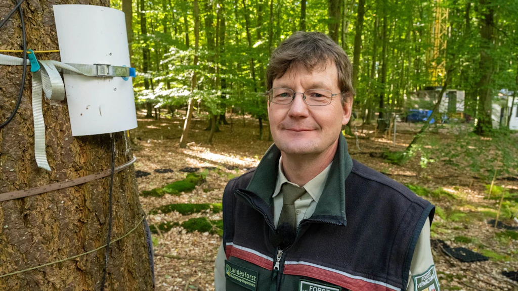 Auch Kai Jütte von der Landesforstanstalt Mecklenburg-Vorpommern gehört zum Team der Baumretter.