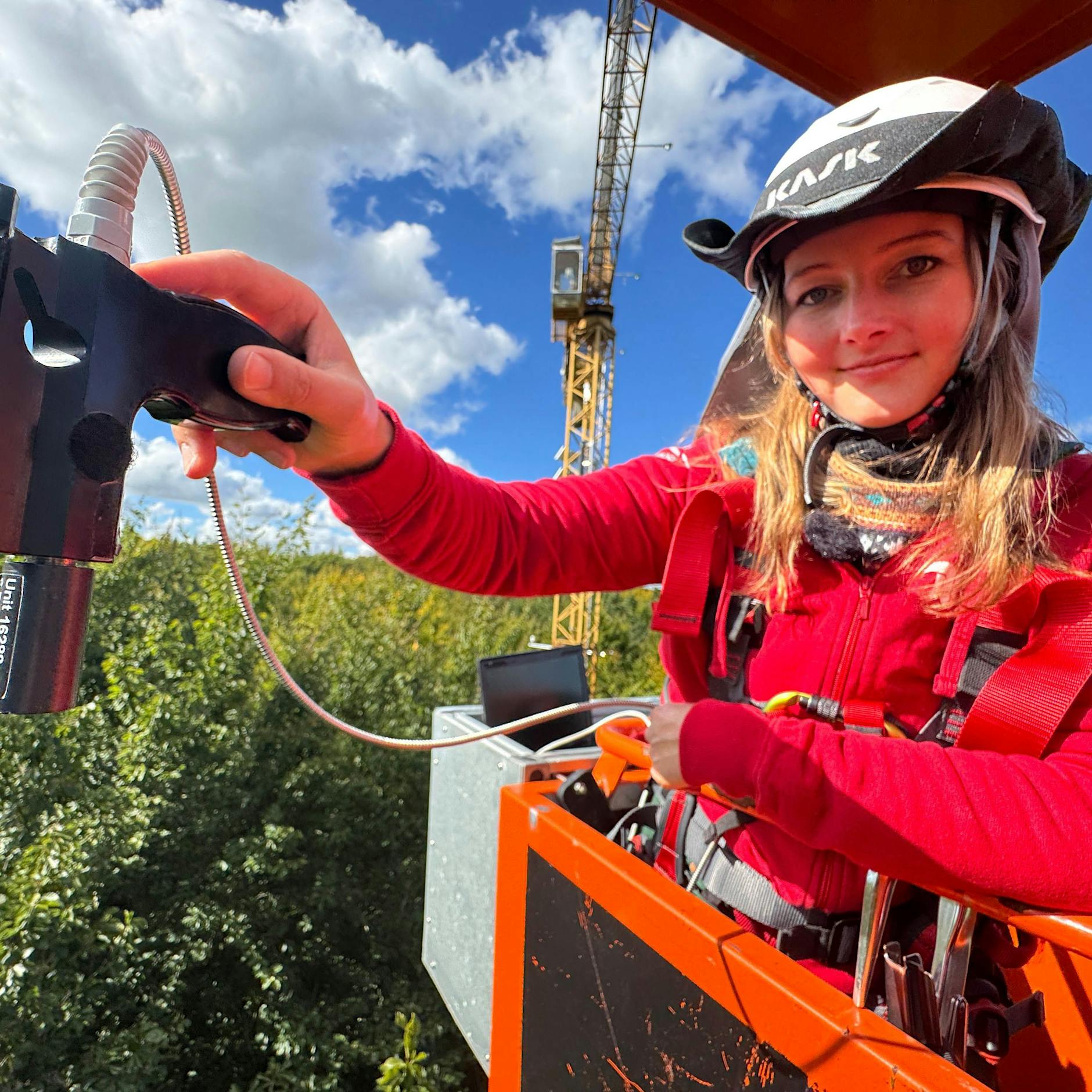 Job in luftiger Höhe: Die Waldmeisterin, die unsere kranken Bäume rettet