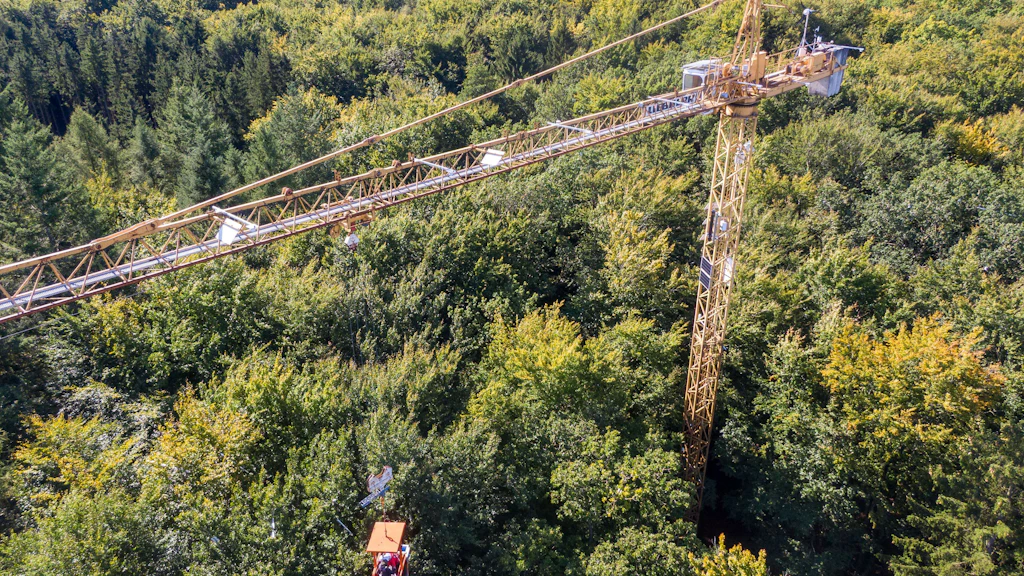 So sieht der Baumkran von Pia Kräft von oben aus. Mit einer Drohne geht es noch höher als 45 Meter.