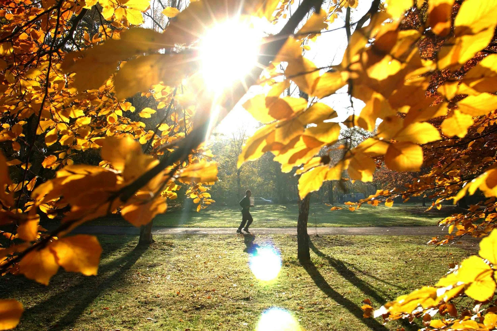 Der Herbst ist da, die Blätter fallen - und die Mitarbeiter der BSR bekommen viel zu tun. Denn das viele Laub muss irgendwie runter von den Straßen.