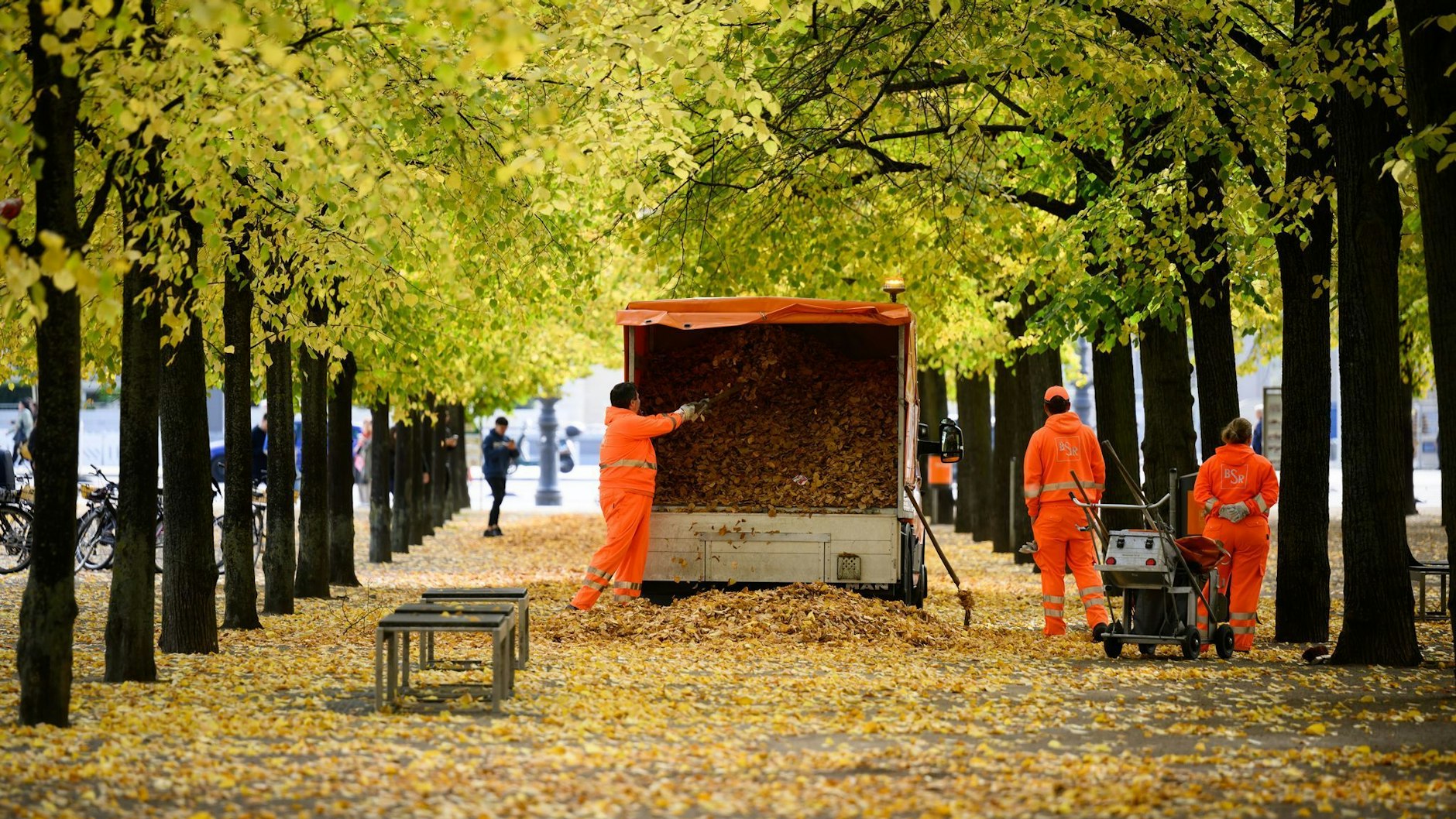 Mitarbeiter der Berliner Stadtreinigung fegen auf der Museumsinsel Laub zusammen. Mit dem Herbst haben die Sauber-Helden der Hauptstadt wieder ordentlich zu tun.