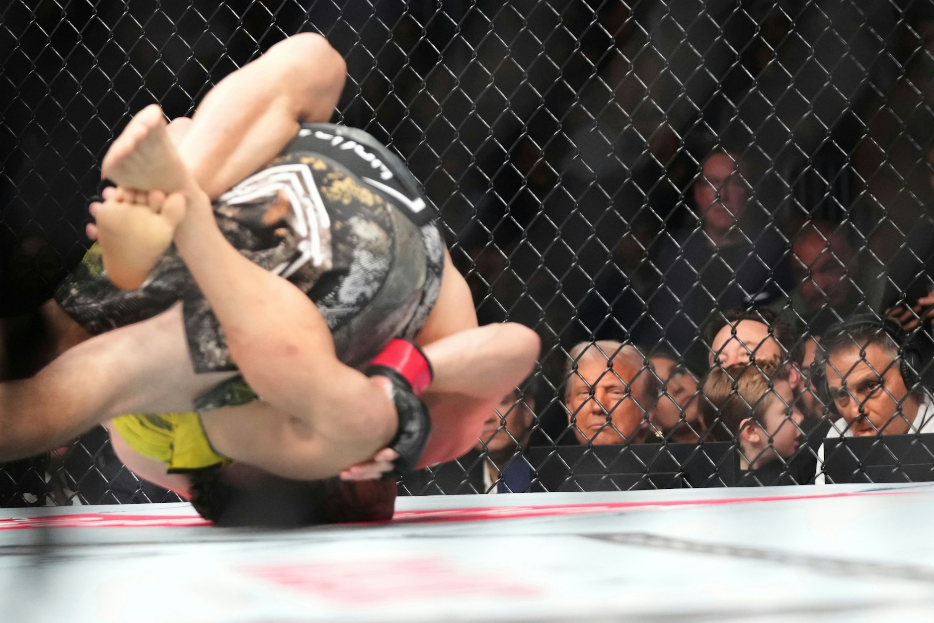 Donald Trump bei der Betrachtung eines Mixed-Martial-Arts-Kampfes im Käfig