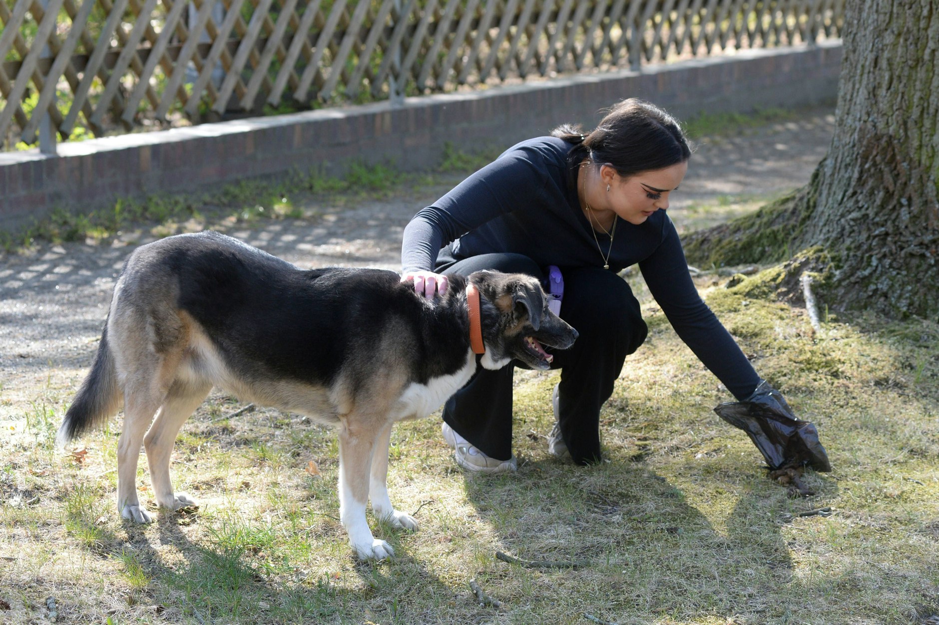 Das Berliner Ordnungsamt kann Bußgelder von bis zu 10.000 Euro verhängen, wenn man Hundekot nicht eintütet.