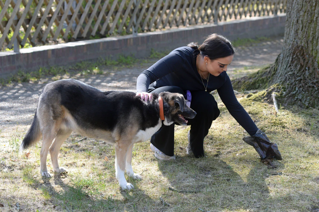 Kreuzberg versinkt im Hundekot! Jetzt drohen 10.000 Euro Bußgeld
