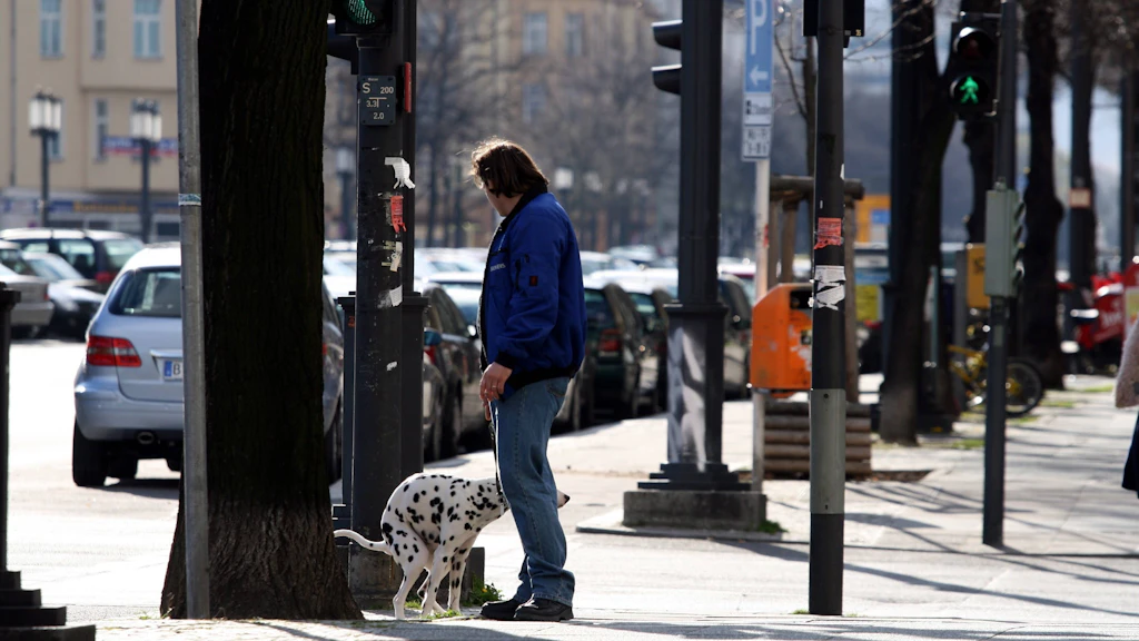 Die Regeln sind eigentlich klar: Hundehalter müssen die Haufen ihrer Hunde wegräumen. Doch viele Berliner halten sich nicht daran.