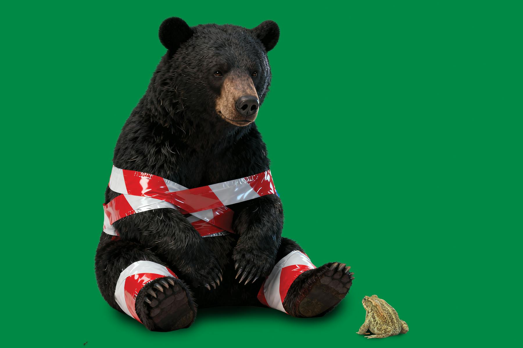 Berlin im Würgegriff der Bürokratie und wie eine Kröte vieles verhindert.