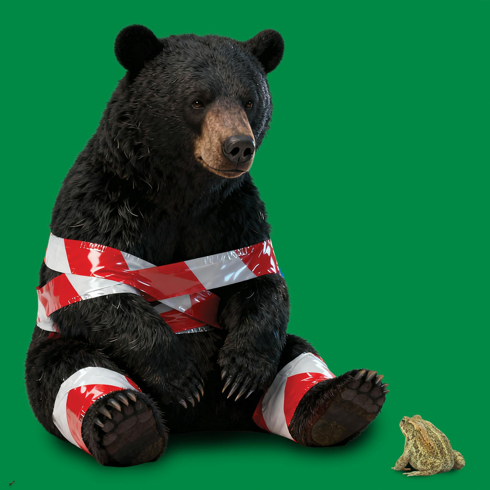 Image - Kröten-Biotope und Ameisen-Straßen statt Wohnungen: Wie Berlin an sich selbst scheitert