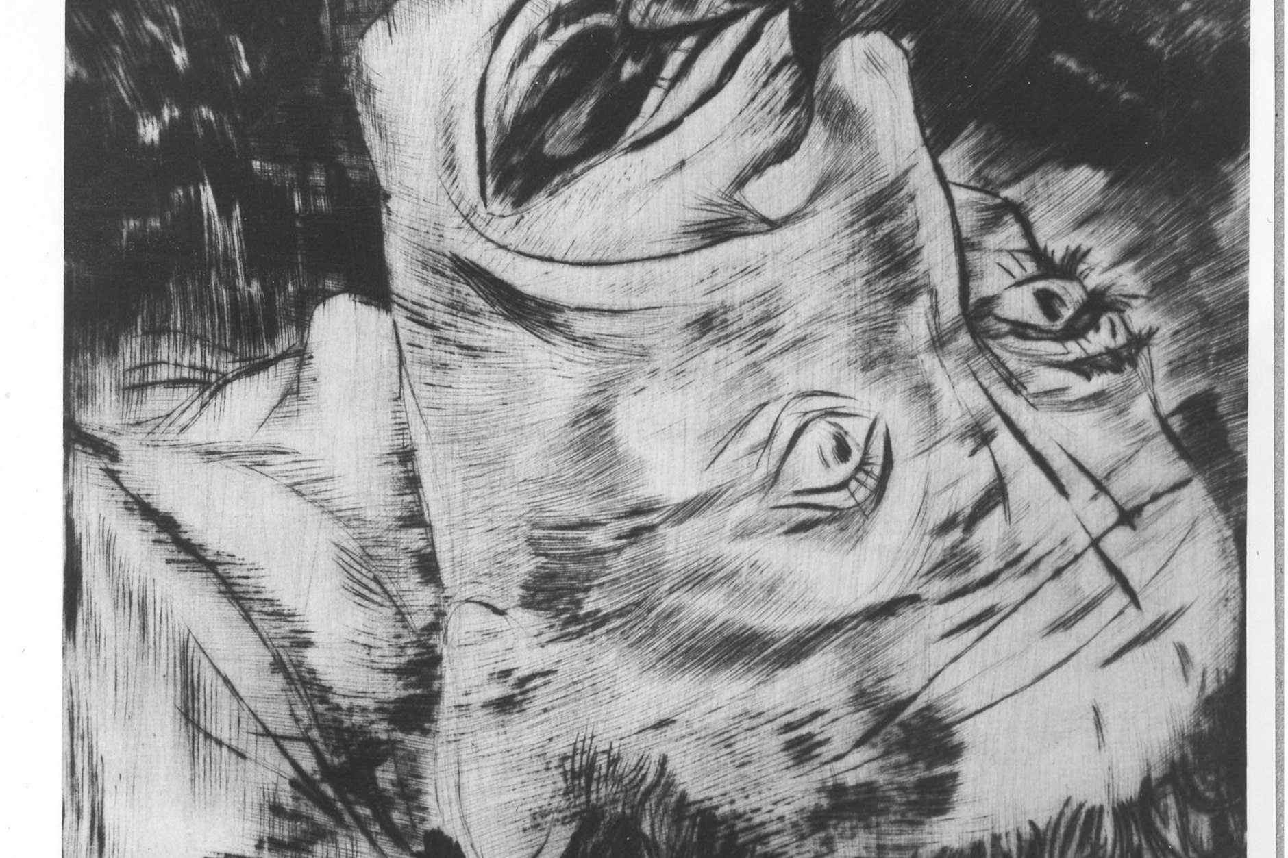 Lea Grundig: „Der Schrei“, 1937, WVZ Heiner kr-99, Blatt 7 der Folge „Der Jude ist schuld!“