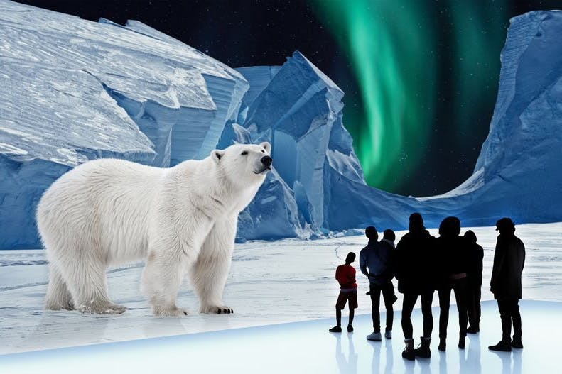 Besucher bestaunen einen Eisbären.
