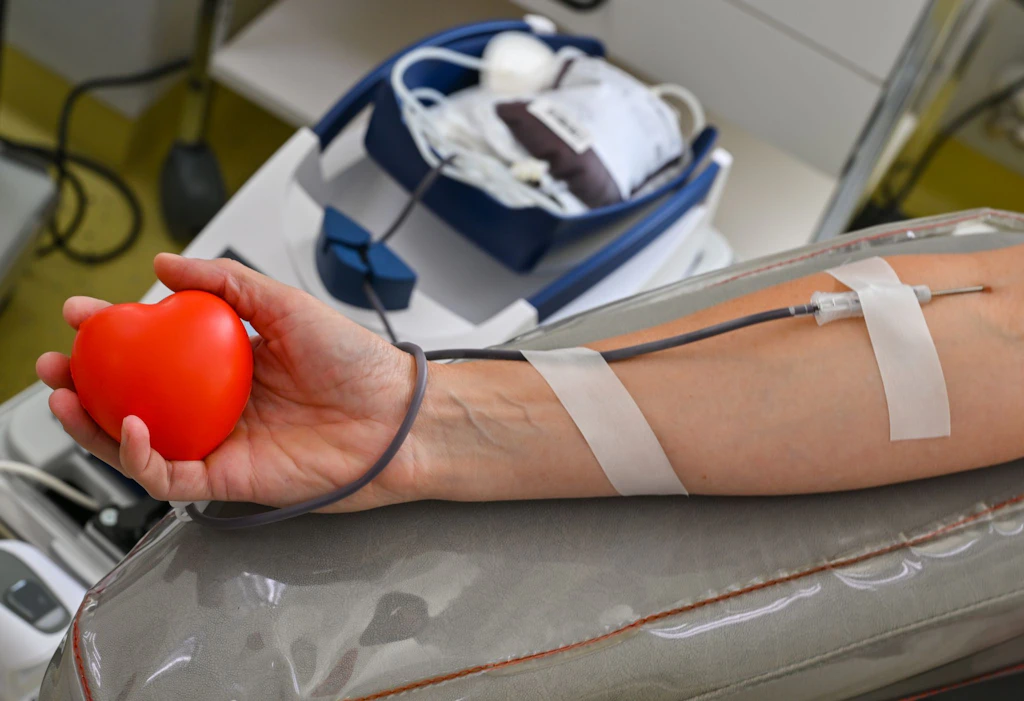 Cold season in Berlin: Can you donate blood with a cold?