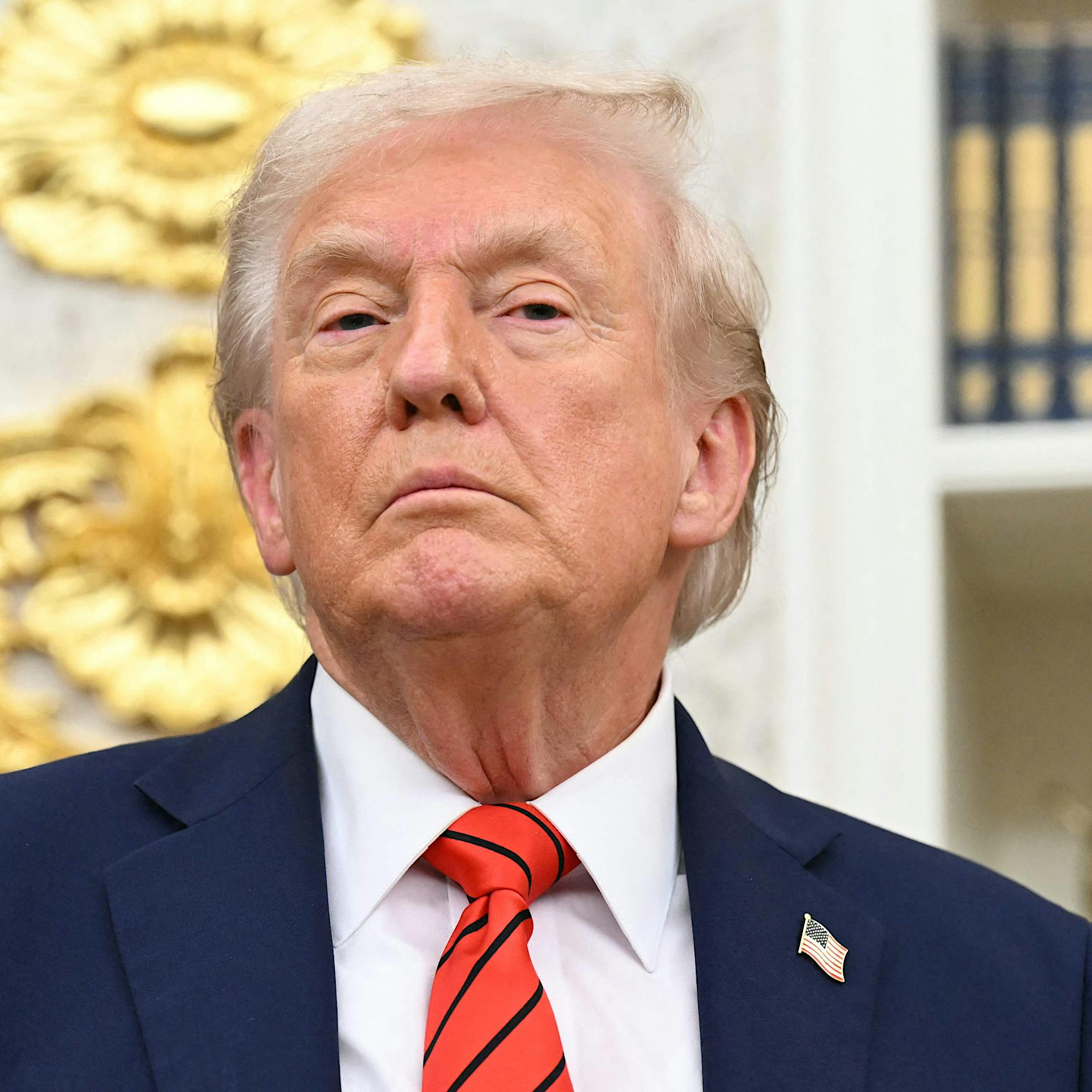 AfD will Ehrenbürgerschaft für US-Präsident Trump in Bad Dürkheim