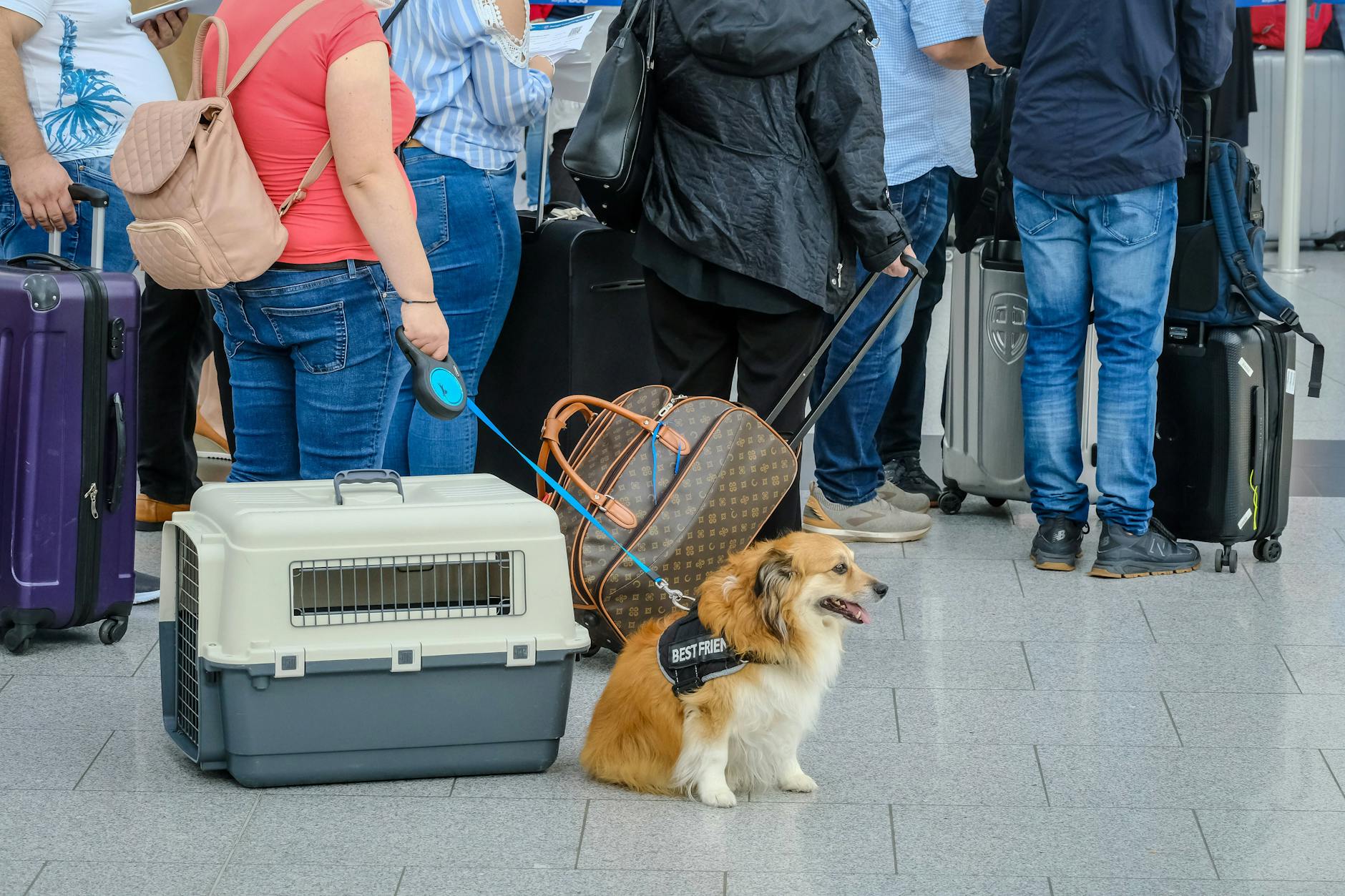 Urlauber mit Koffern und Hund warten am Flughafen Düsseldorf (Symbolbild).