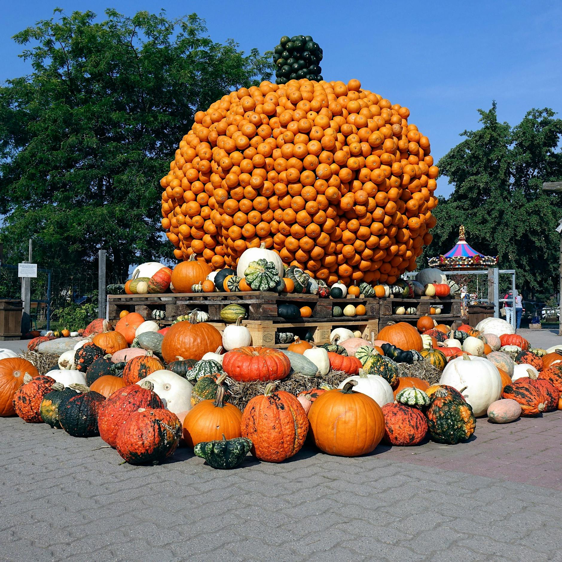 Von Köpenick bis Klaistow: Fünf Herbst-Tipps fürs Wochenende in und um Berlin