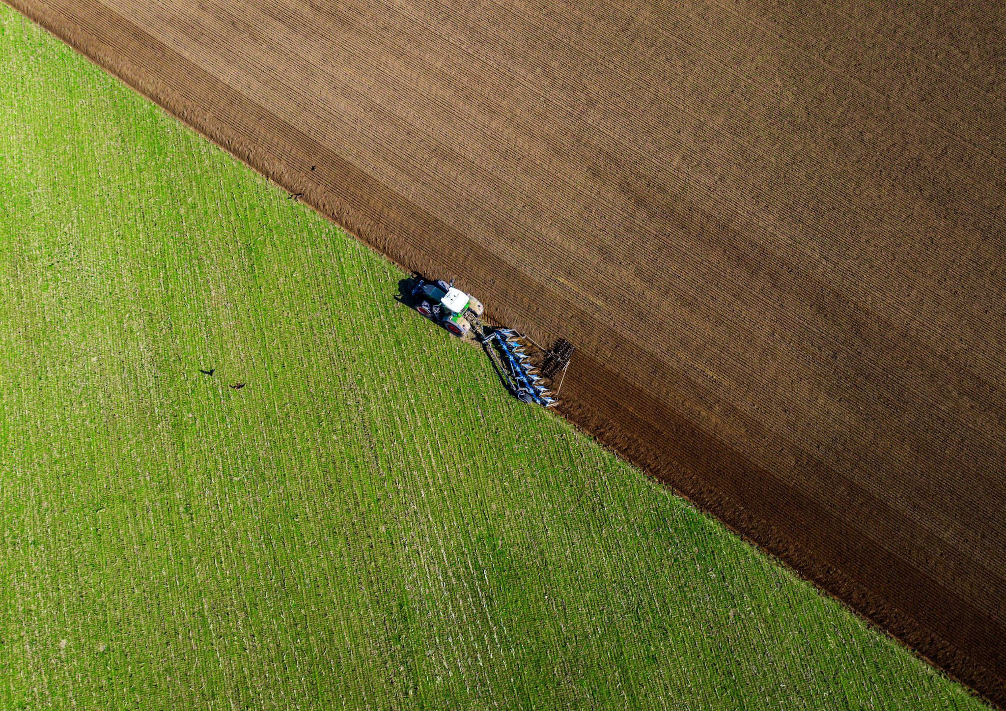 Image - Ausland kauft Deutschlands Agrarflächen auf: Jetzt reagiert die Bundesregierung