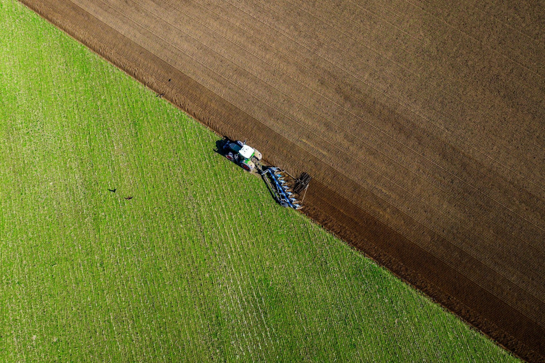 Der ostdeutsche Landwirt Reiko Wöllert warnte in einem Interview mit der Berliner Zeitung vor einem Ausverkauf der deutschen Landwirtschaft ans Ausland.