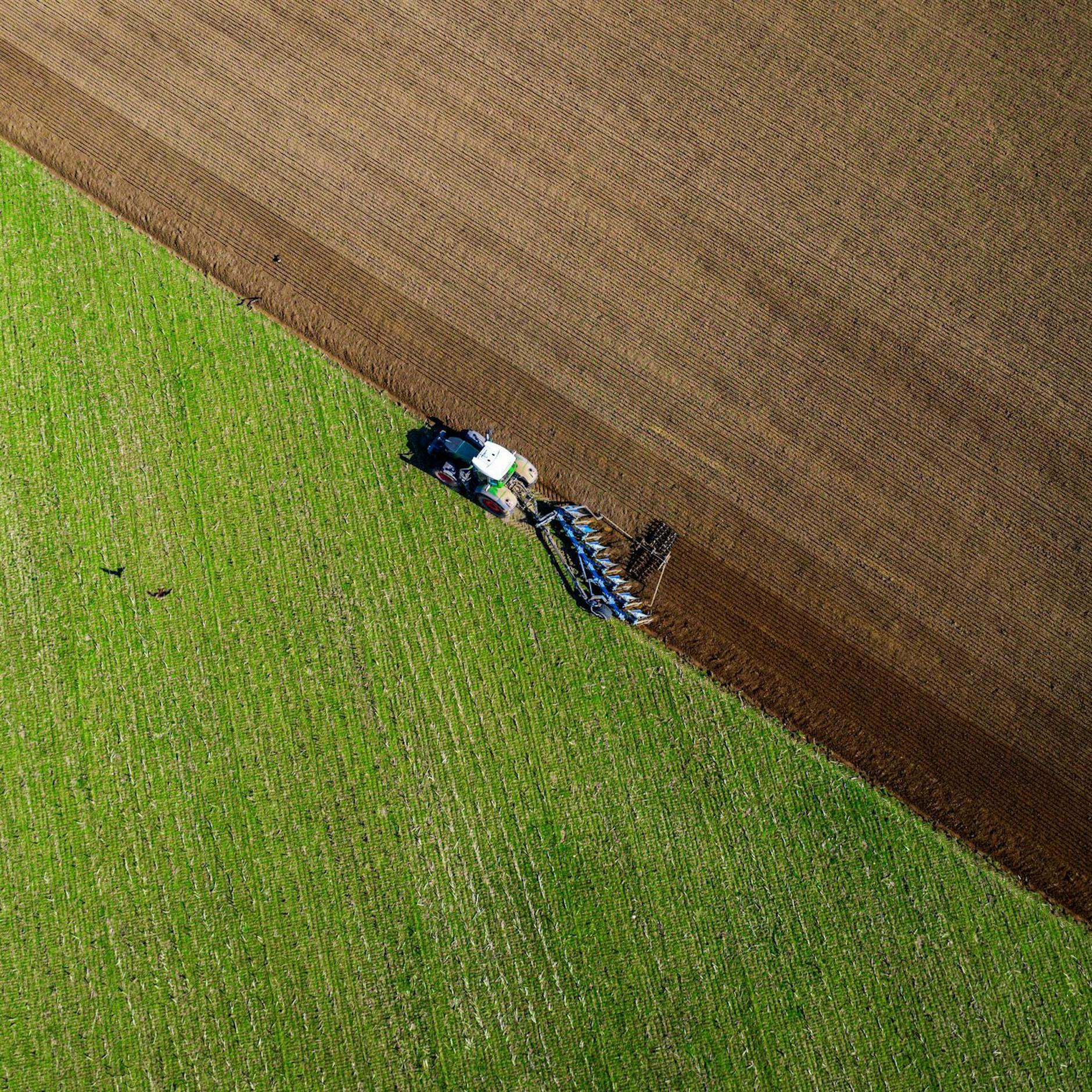 Image - Ausland kauft Deutschlands Agrarflächen auf: Jetzt reagiert die Bundesregierung