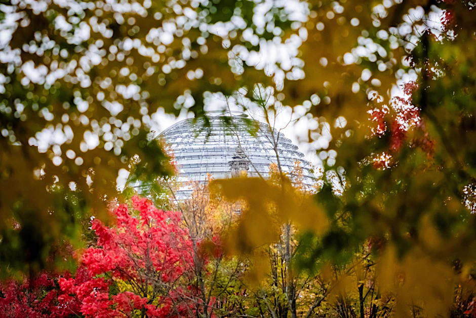 Hinter herbstlich verfärbten Bäumen ist die Kuppel des Reichstagsgebäudes zu sehen.