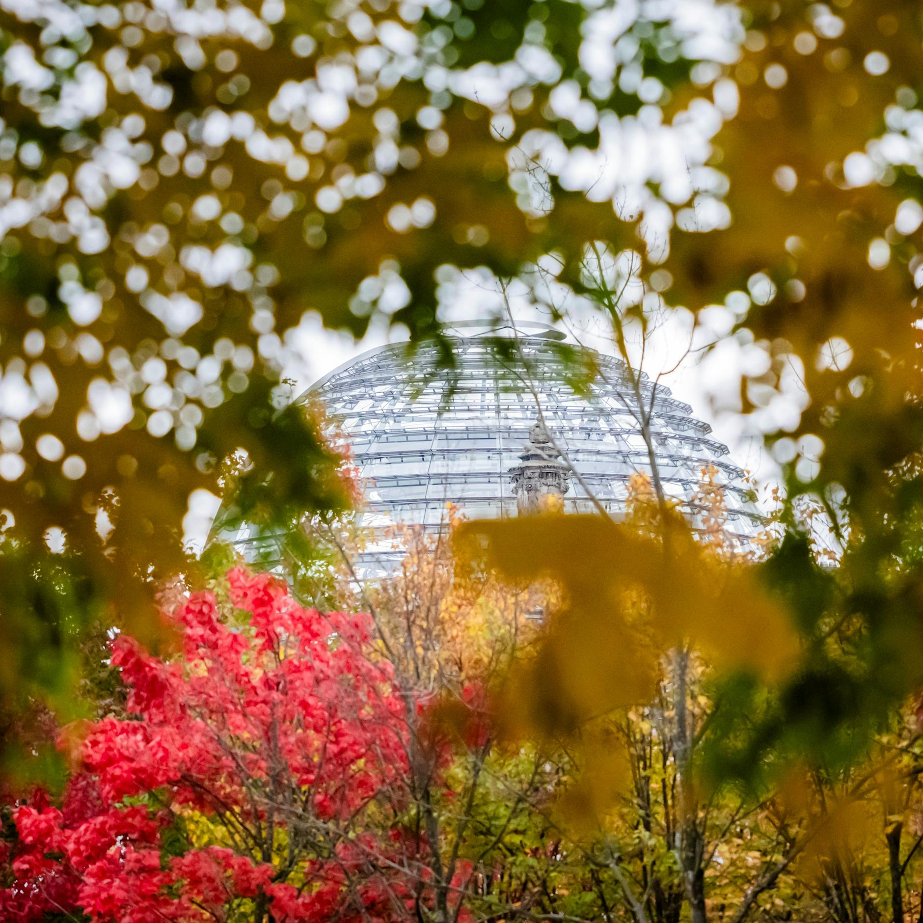 Tschüss goldener Herbst: Das Wetter wird kälter, nass und schmuddelig