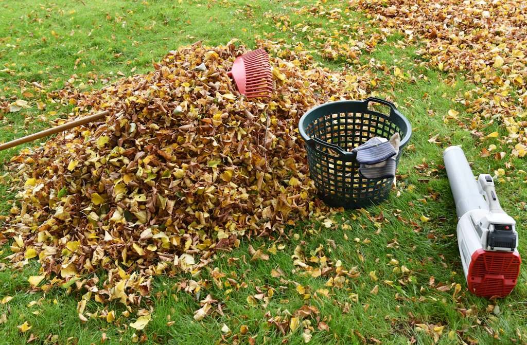 Laub im Herbst liegen lassen oder nicht? Das ist die entscheidende Frage