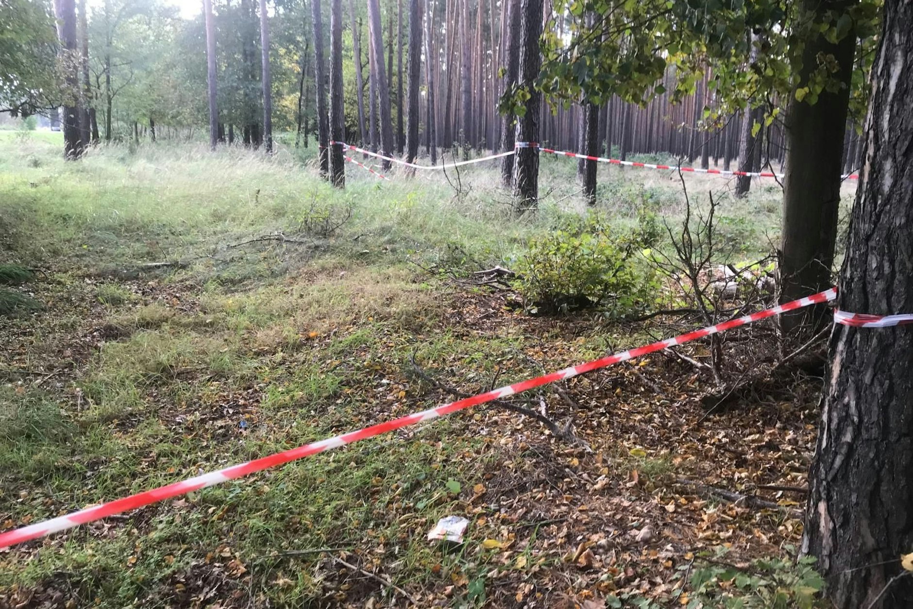 In einem Waldstück entdeckte der KURIER Absperrband im Wald. 