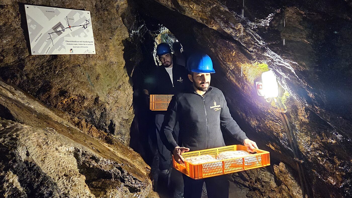 Erzgebirge: In Annaberg gibt’s zu Weihnachten angeheiterte Christkind-Butterstollen