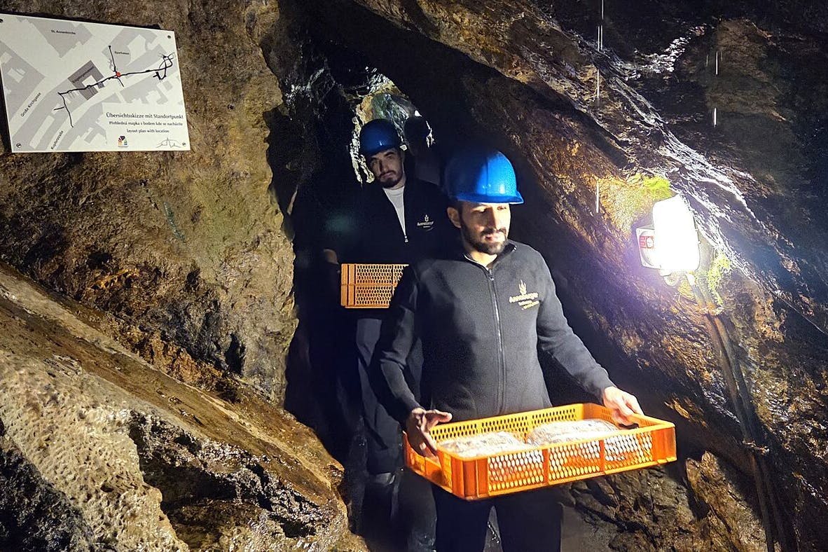 14 Meter hinunter in die Tiefe des Besucherbergwerks tragen junge Annaberger Stollenbäcker das weihnachtliche Festgebäck zur Aroma-Kur mit „Grubenfeuer“.