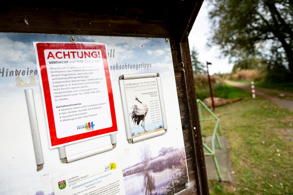Ein Schild im Linumer Teichgebiet in Brandenburg warnt vor der Geflügelpest.