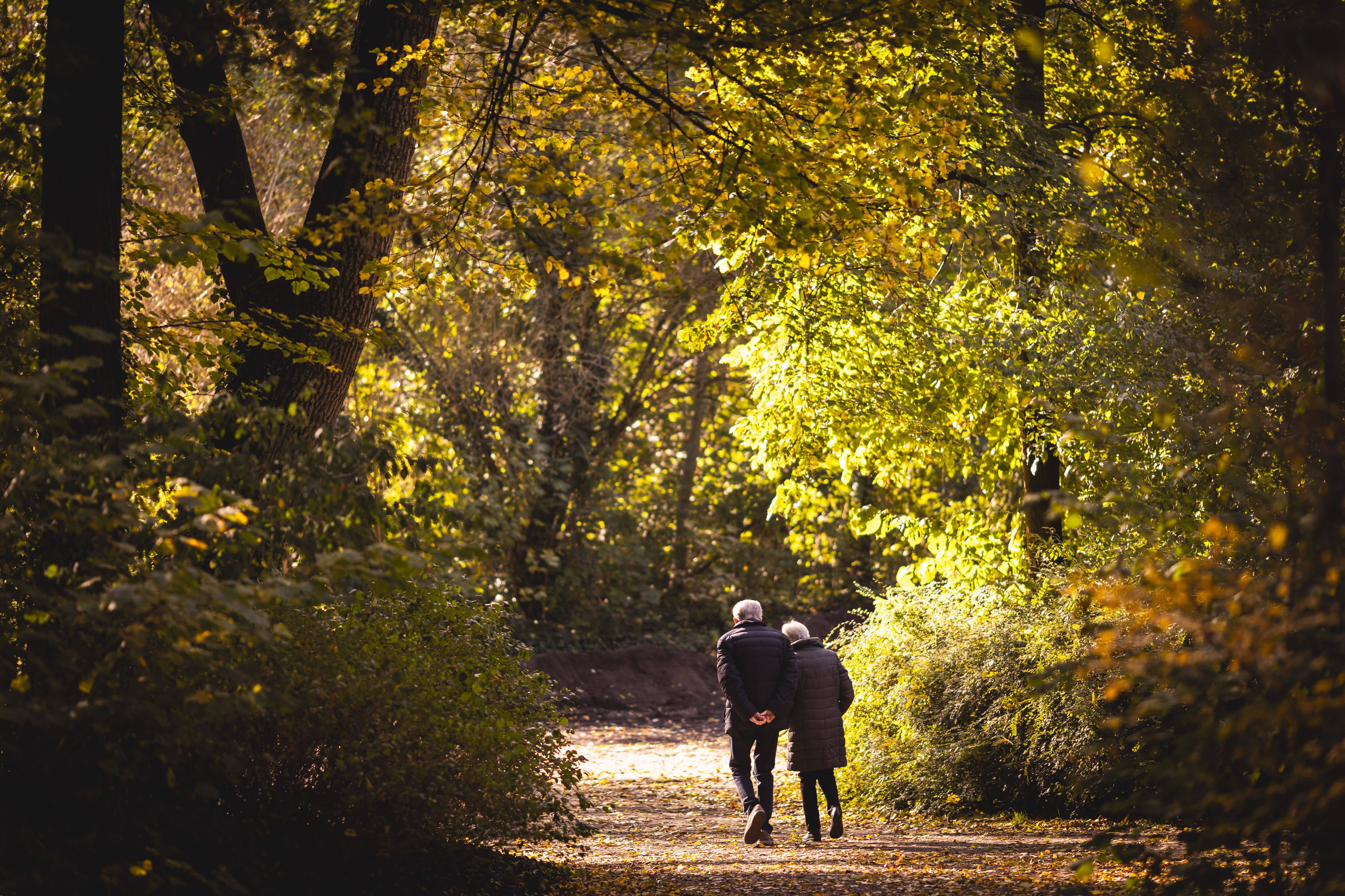6000 Euro extra für Rentner: Diese Modelle zeigen, was die Aktivrente bringt