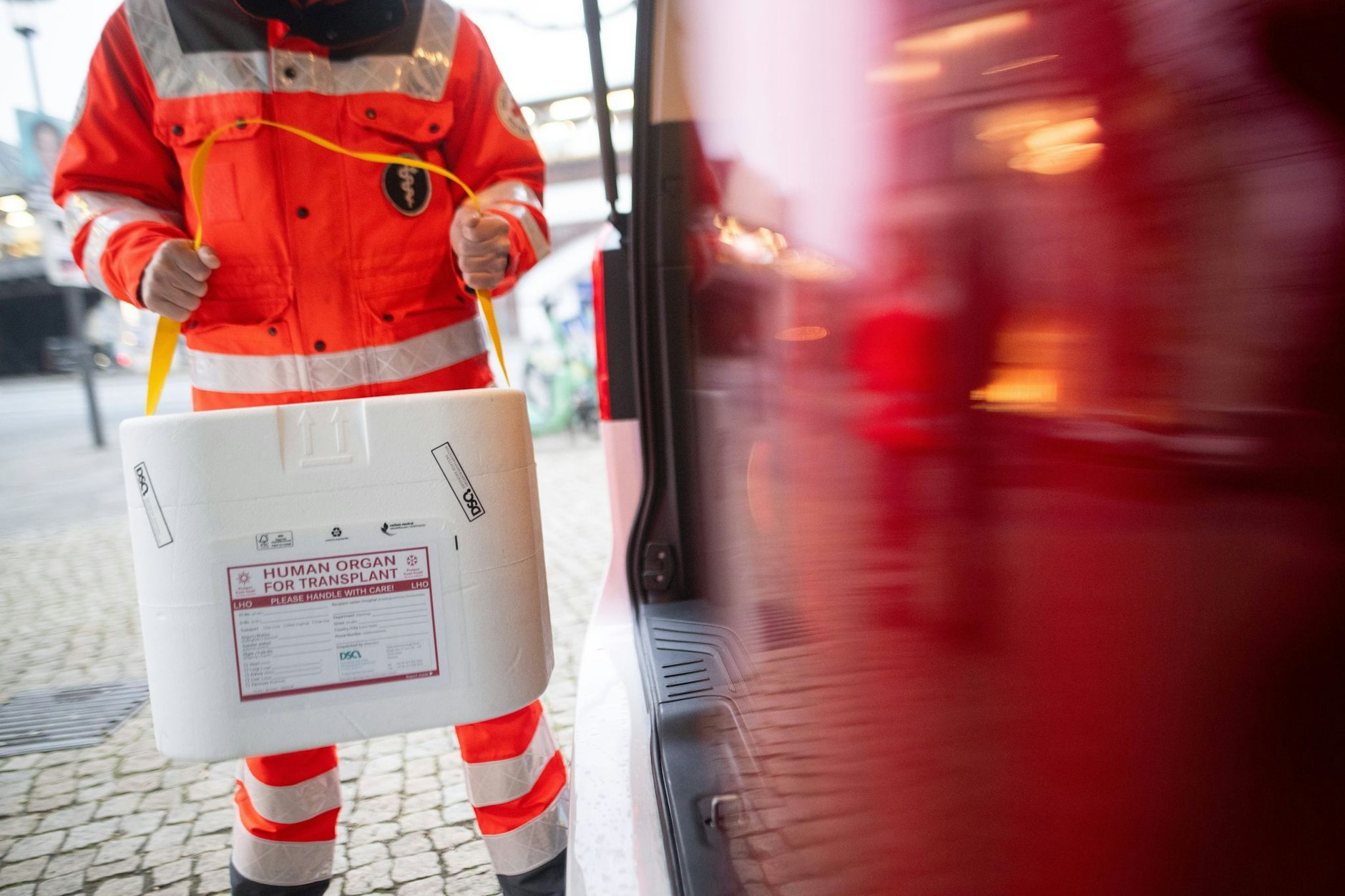 Eine Kühlbox für eine Organspende wird für den Transport vorbereitet.