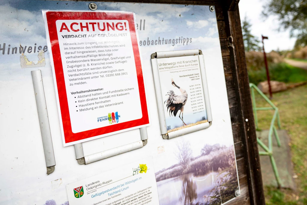 Ein Schild im Linumer Teichgebiet (Fehrbellin) warnt vor der Geflügelpest. In Geflügelbetrieben, aber auch bei Kranichen ist die Infektionskrankheit Geflügelpest nachgewiesen worden.