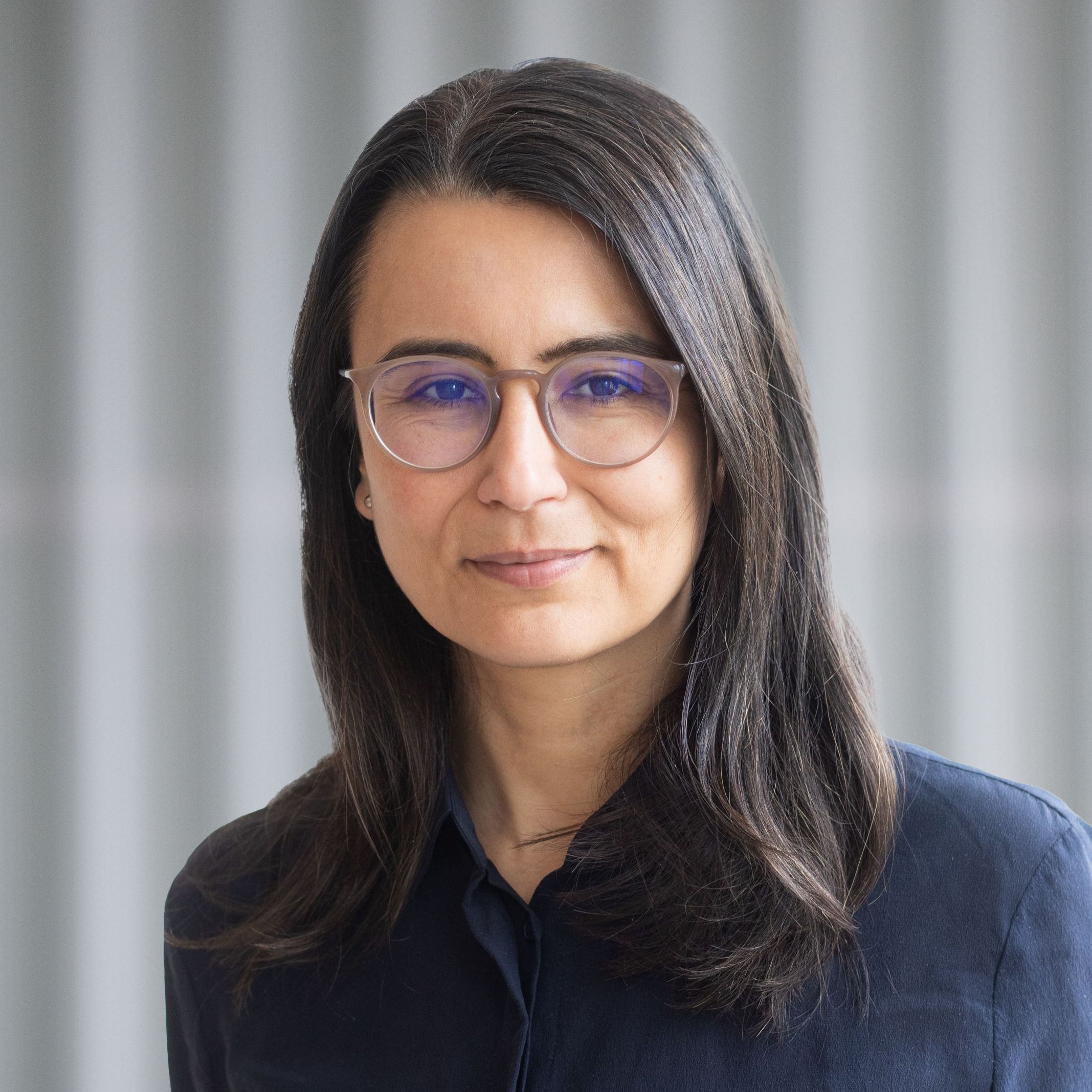 Author - Wiebke Hollersen