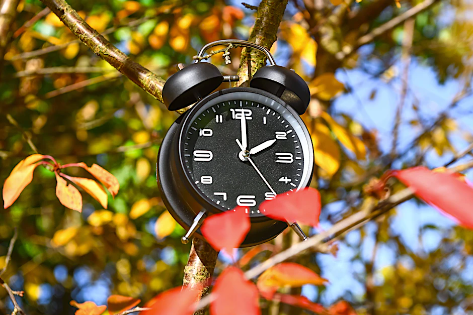 Die Zeitumstellung im Herbst geht vielen noch leichter von der Hand. Doch vor allem im Frühjahr haben viele mit gesundheitlichen Schwierigkeiten und Jetlag zu kämpfen.
