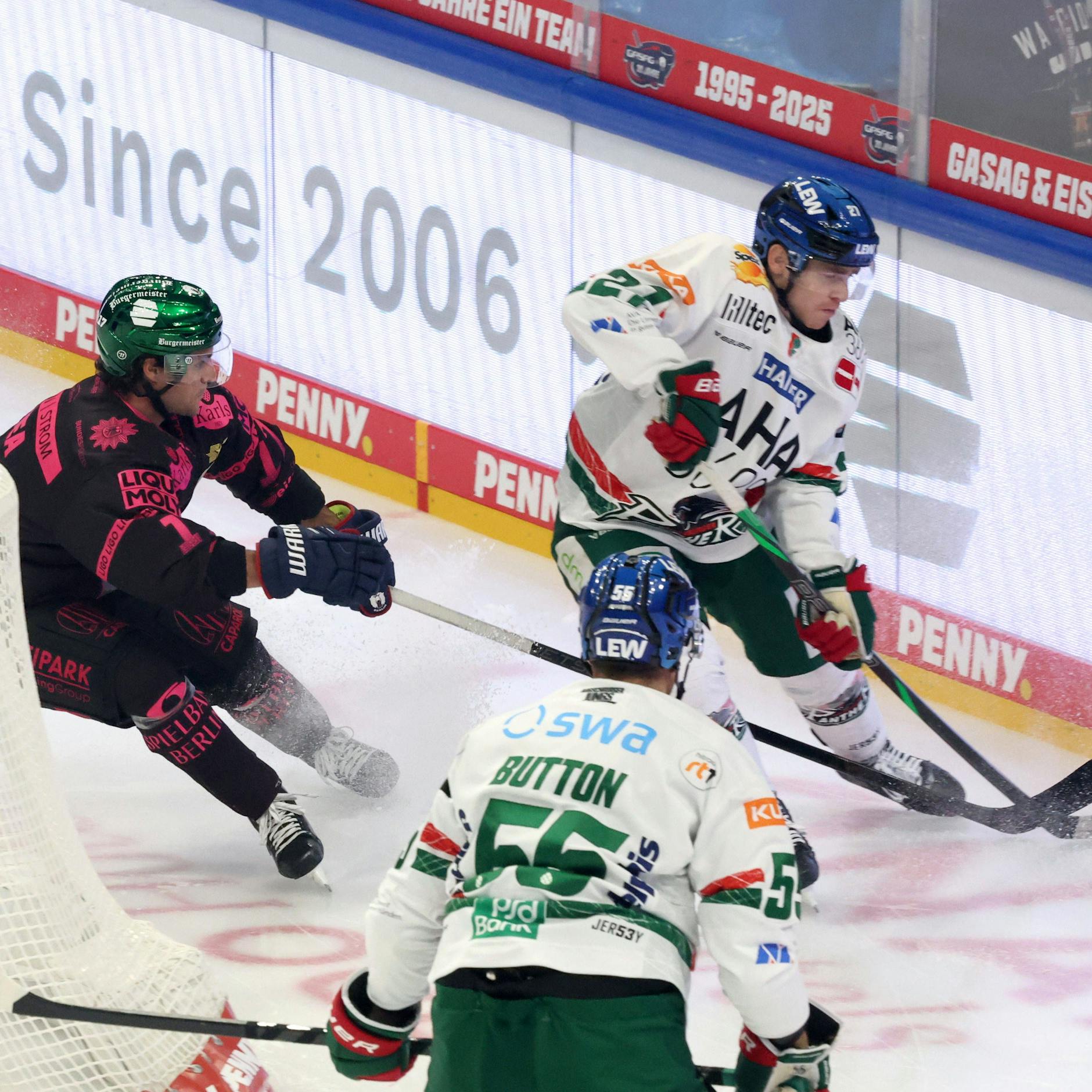 Image - Eisbären Berlin verlieren gegen Augsburg: An den Neuen lag es nicht