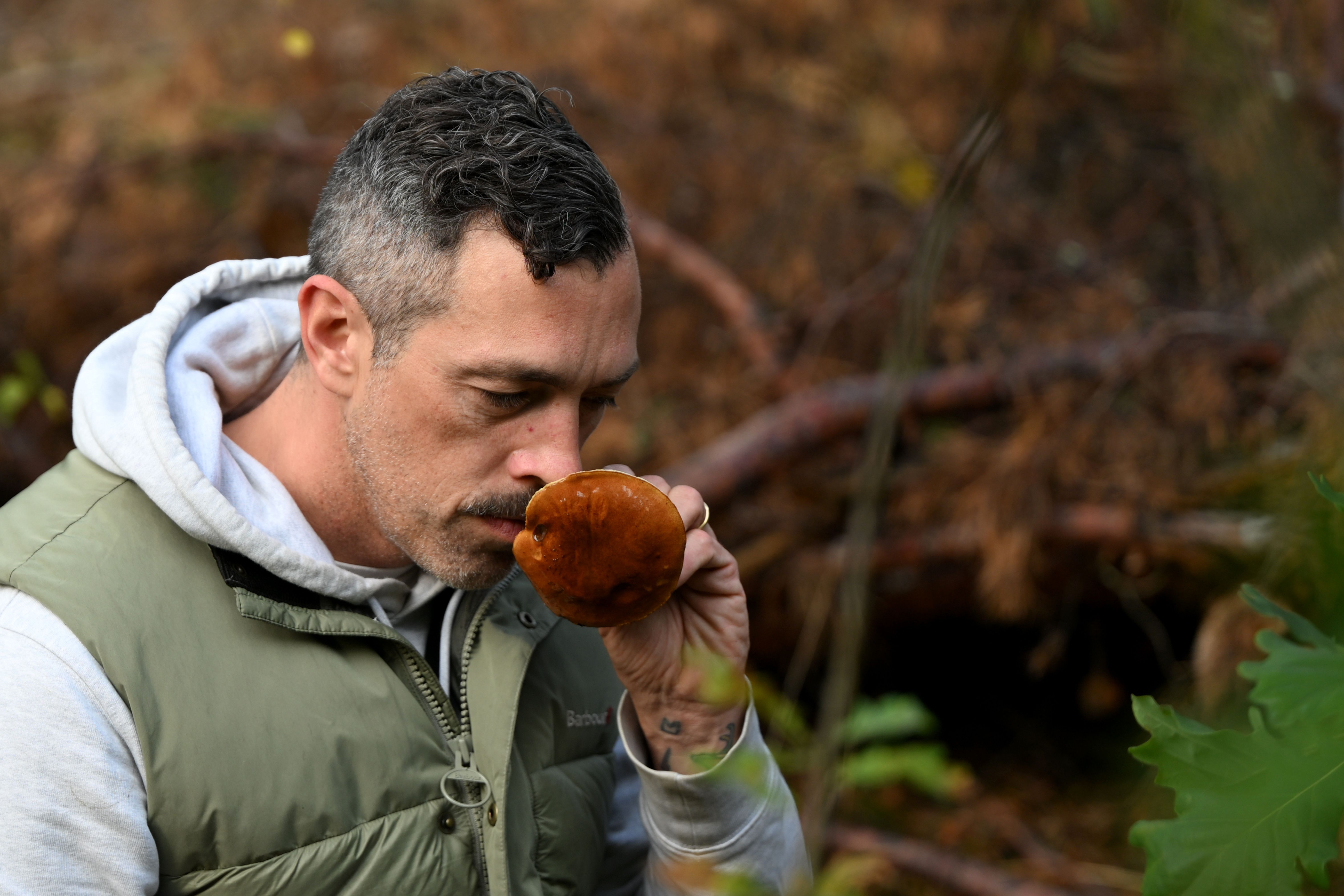 Irre, jetzt ist Instagram im Wald angekommen! Unterwegs mit einem Pilz-Influencer