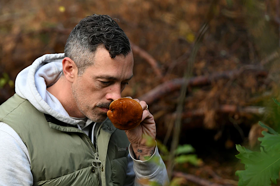 Pilz-Influencer Moritz Schmid riecht an einer Heiderotkappe. Schmid zeigt im Wald, in Zeuthen in Brandenburg, worauf es beim Sammeln ankommt. 