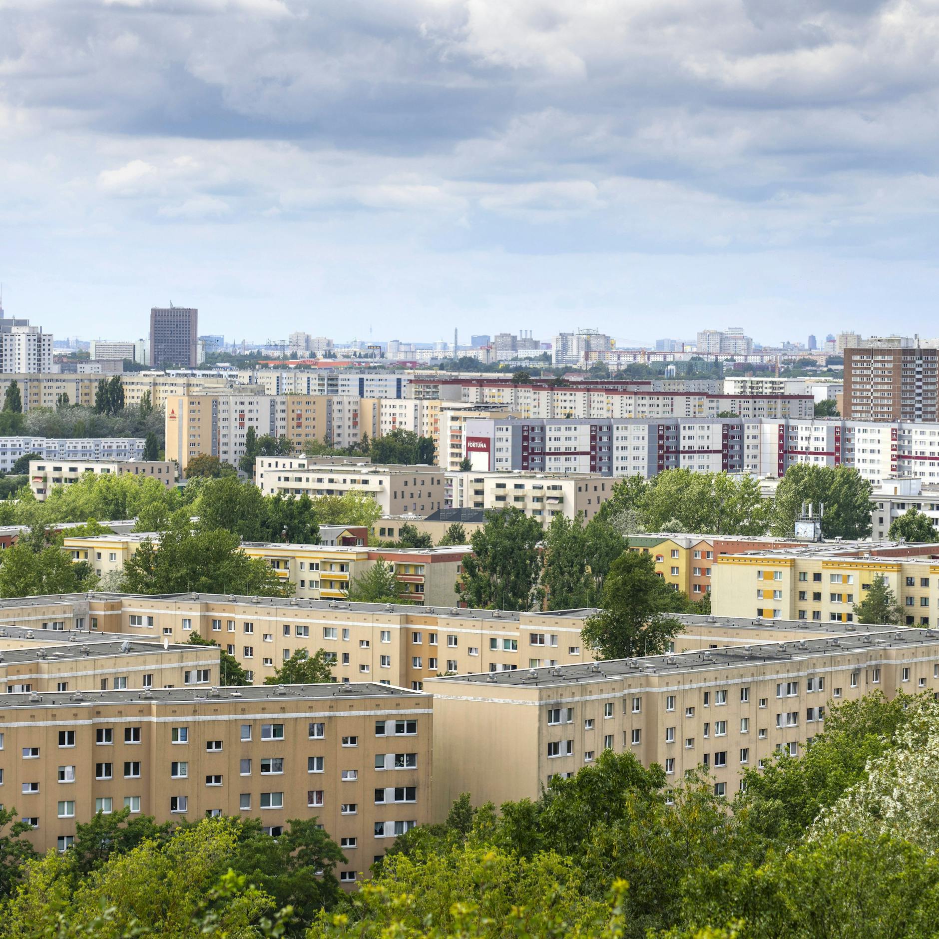 Image - AfD-Politiker rechnet mit Wohnungspolitik ab: „Die Mietenkrise ist hausgemacht“