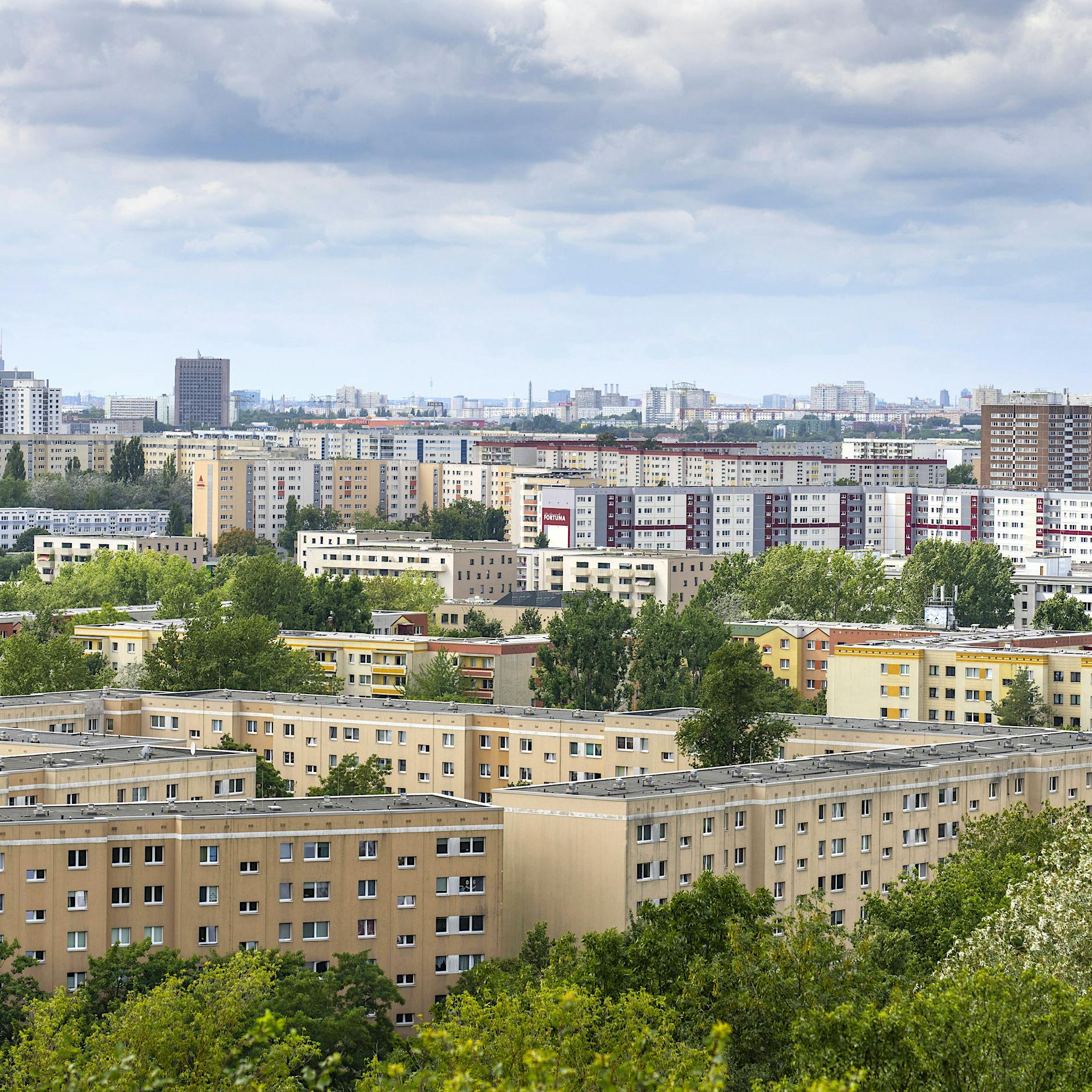 AfD-Politiker rechnet mit Wohnungspolitik ab: „Die Mietenkrise ist hausgemacht“