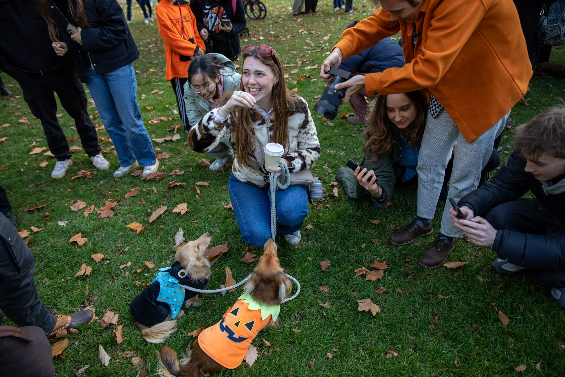 Halloween auf vier Pfoten: Frauchen mit verkleideten Hunden.