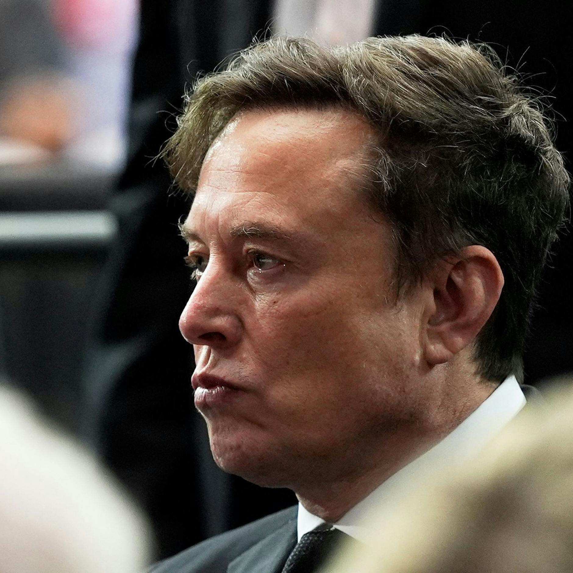 Image - Grokipedia: Elon Musk startet Frontalangriff auf Wikipedia