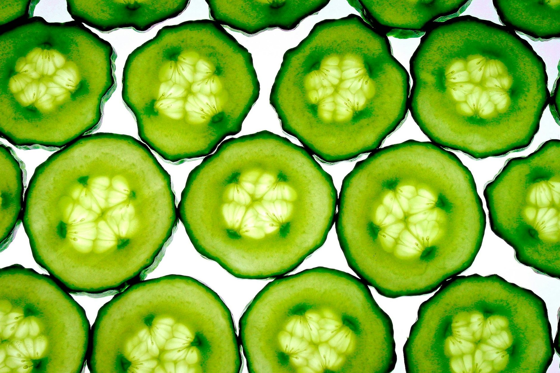 Ist das Kunst oder kann man das essen? Im Winter sind die Gurkenpreise manchmal so hoch, dass man sich das Gemüse nur noch auf dem Foto anschauen möchte.