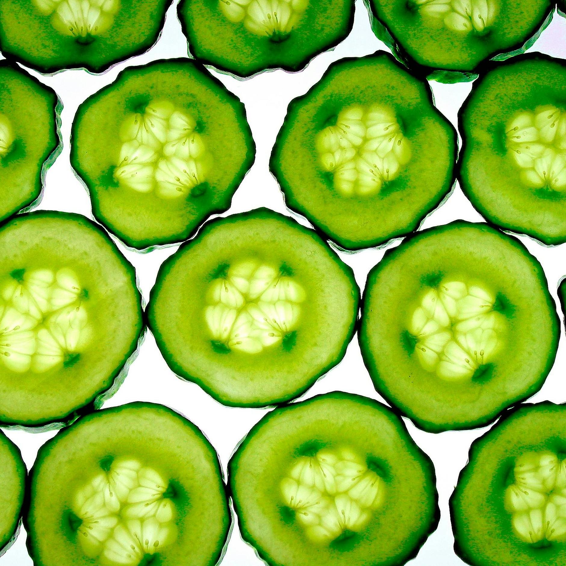 Ganz schön gefährlich: Das Überschreiten der Gurken-Grenze!