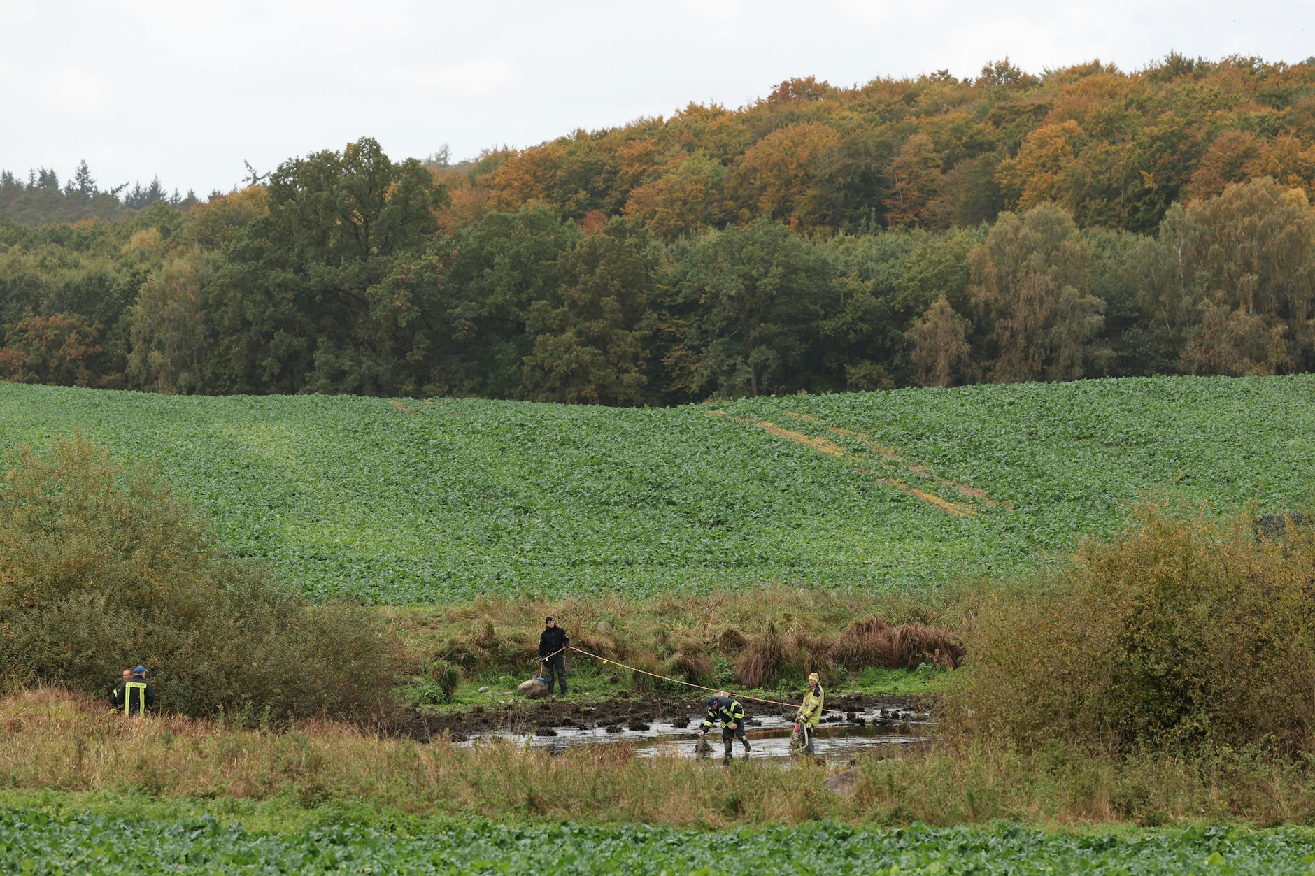 Die Leiche des kleinen Fabian wurde an einem Tümpel bei Klein Upahl gefunden.