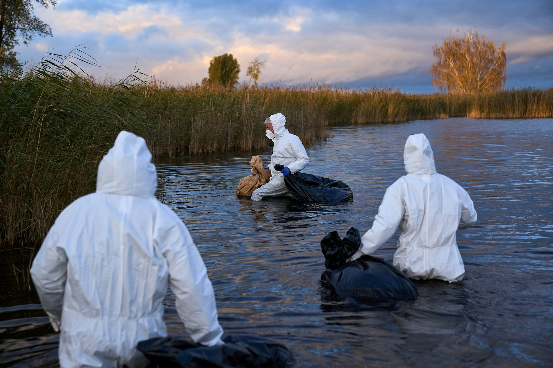 In Linum sammeln Umweltarbeiter die Kadaver von Vögeln, die an der Vogelgrippe verendet sind, aus einem See.